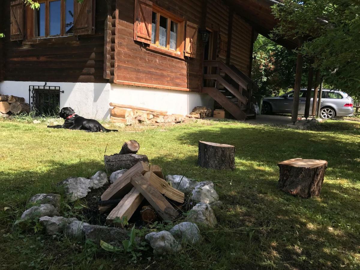 Ferienhaus Ella&Puck Bad Mitterndorf Extérieur photo